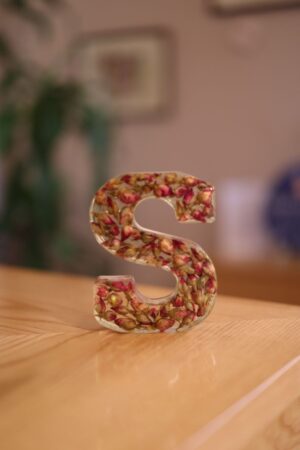 Alphabet Block Letter S
