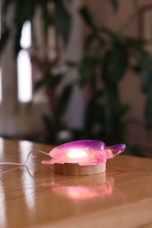 Turtle Lamp