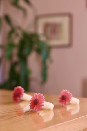 Napkin Rings (Set Of 8)