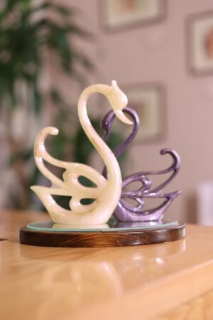 Swan On Mirror & Wood