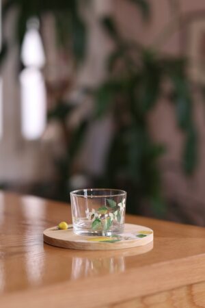 Bowl - Coaster - Spoon (6 Pieces) (F11)